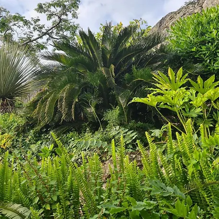 Palmier Apartamento Corbara