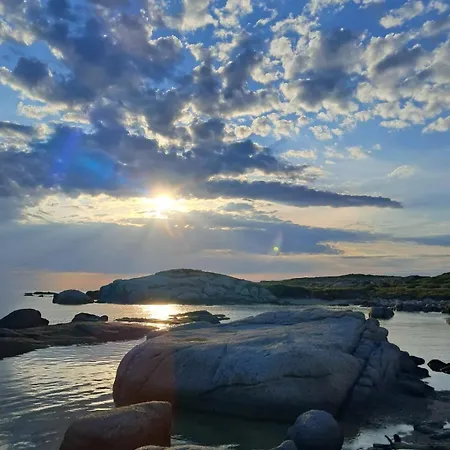 Palmier Apartament *