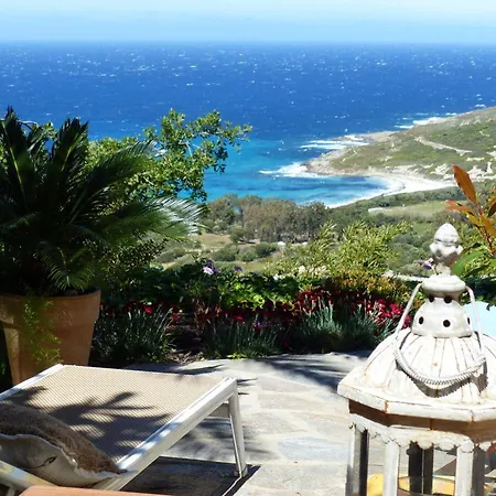 Palmier Apartament *