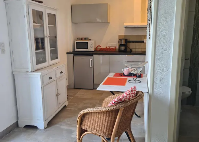 Palmier Daire Corbara